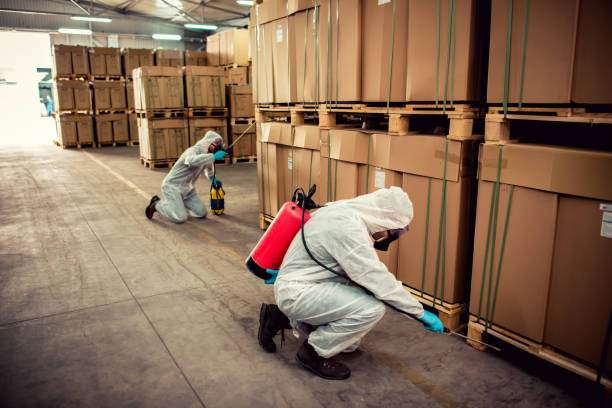 Flea Control Services in Claremont, NC