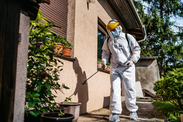Best Bed Bug Extermination  in Claremont, NC