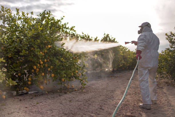 Best Pest Inspection Near Me  in Claremont, NC