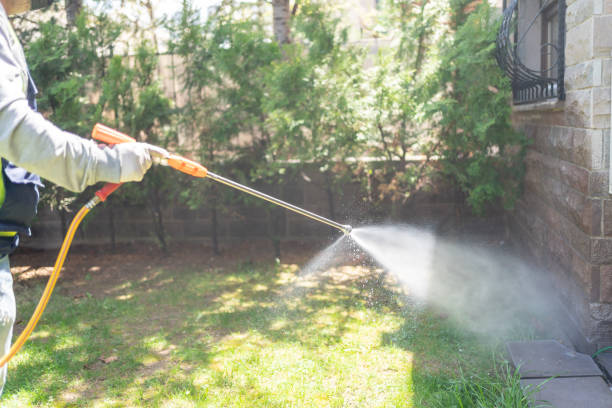 Best Pest Control for Homes  in Claremont, NC