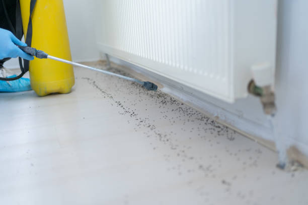 Best Spider Control Near Me  in Claremont, NC