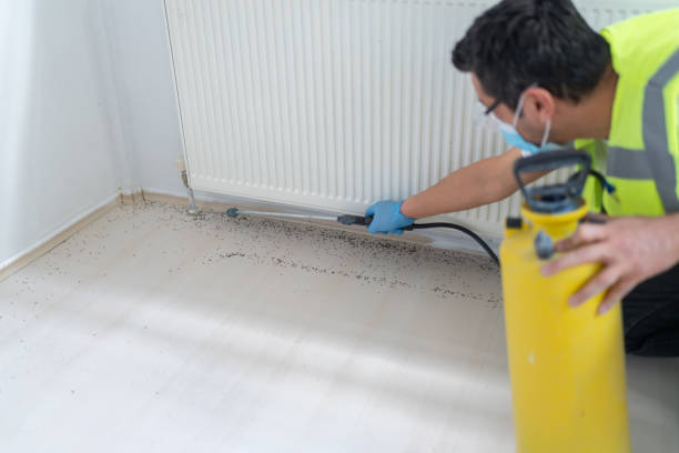 Best Affordable Pest Control Services  in Claremont, NC