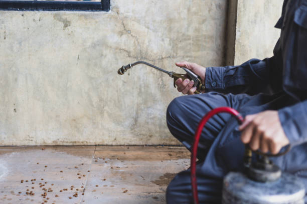 Best Mosquito Control Services  in Claremont, NC